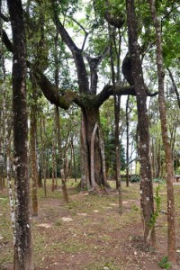 Pousada Ecanto de Glaura