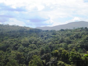 Pousada Ecanto de Glaura